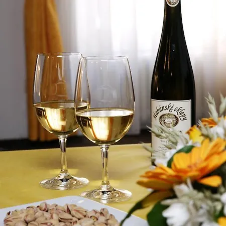 Malý Pivovar 4* Ceske Budejovice